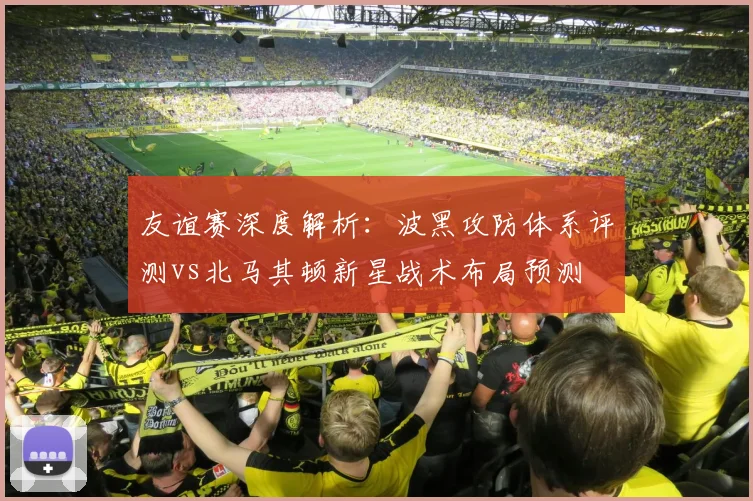 友谊赛深度解析：波黑攻防体系评测vs北马其顿新星战术布局预测