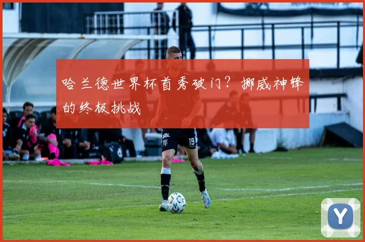 哈兰德世界杯首秀破门？挪威神锋的终极挑战