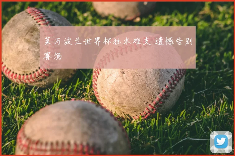 莱万波兰世界杯独木难支 遗憾告别赛场