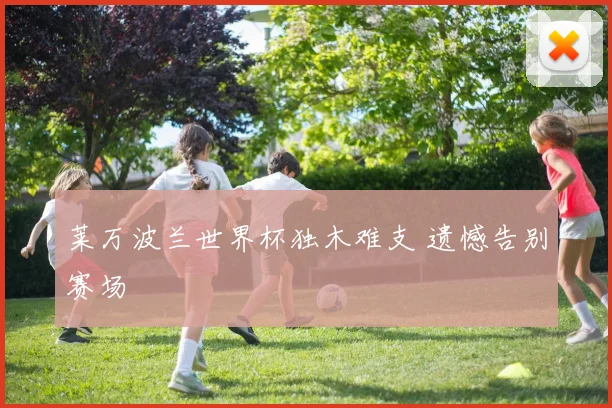 莱万波兰世界杯独木难支 遗憾告别赛场